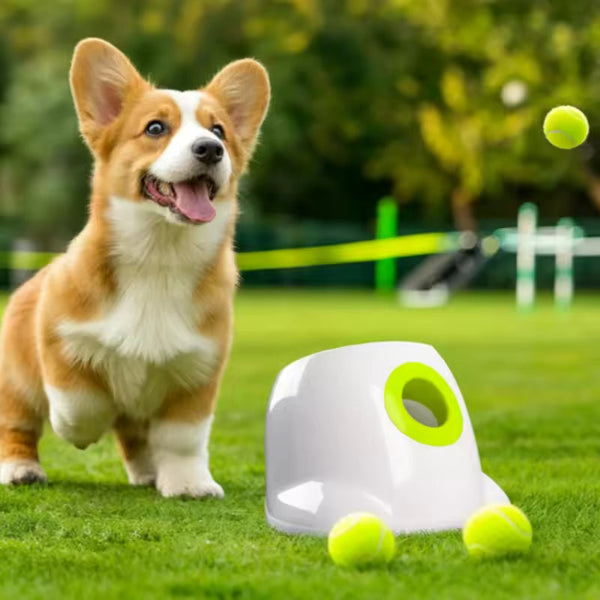 Automatic Dog Ball Launcher – Interactive with Adjustable Distance and 3 Tennis Balls