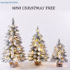 Snow‑Flocked Tabletop Christmas Tree with Warm LED Lights - Elf Express